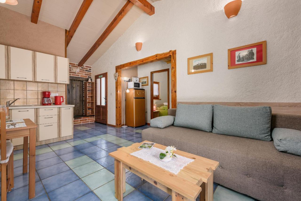Apartment With Pool Višnjan エクステリア 写真